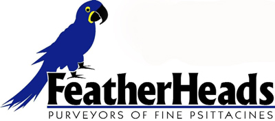 FeatherHeads - Logo