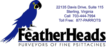 FeatherHeads - Logo -Huge selection of bird toys